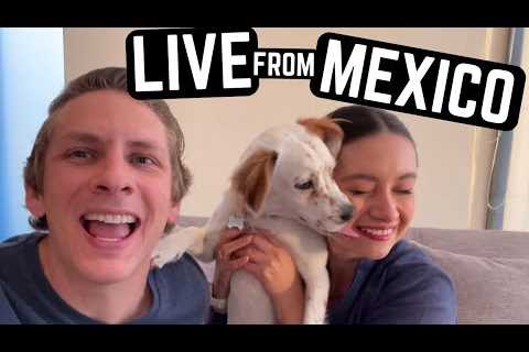 Where the HECK have we been?!? + LIVE Q&amp;A