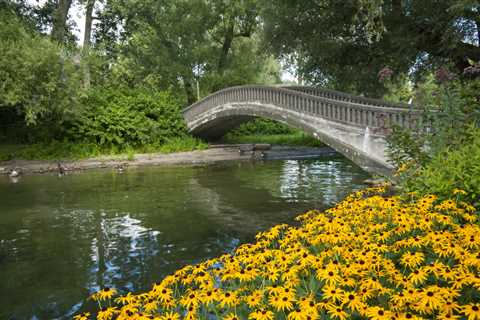 7 Popular Parks in Woodbury, MN That Locals Love