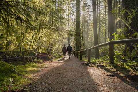 6 Popular Parks in McLean, VA That Locals Love