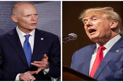 Trump joins Mitch McConnell in bashing Rick Scott's Social Security and Medicare plans, telling him to 'be careful': 'THERE WILL BE NO CUTS!'