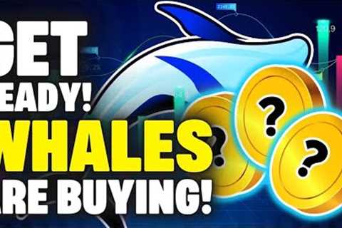 Crypto Whales Are Buying These 3 Altcoins...