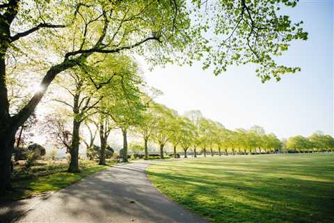 10 Popular Parks in Federal Way, WA That Locals Love