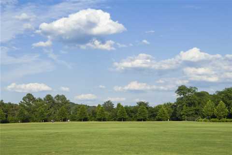 5 Popular Parks in Hayward, CA That Locals Love