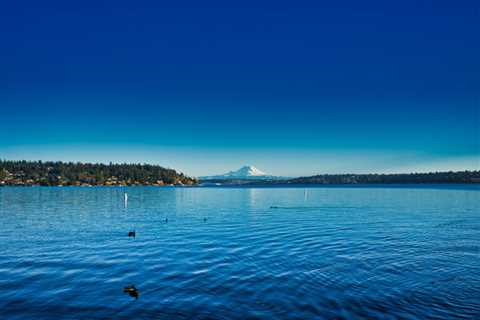 5 Underrated Seattle Parks That Every Local Should Know About