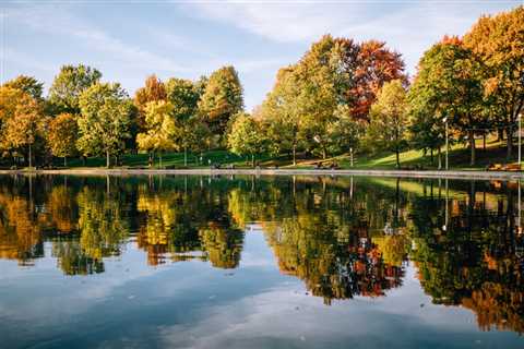 7 Popular Parks in Plymouth, MN That Locals Love