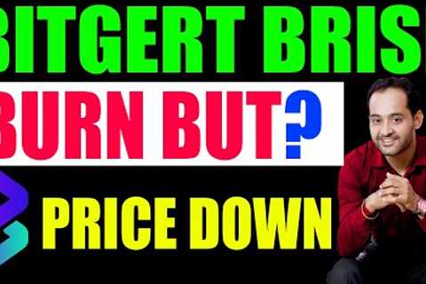 🔥 Breaking: 2nd Monthly Burn is a success!  🔥 $4,538,288 worth of Bitgert BRISE burned | Crypto News