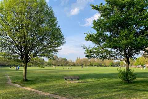 6 Popular Parks in Salinas, CA That Locals Love