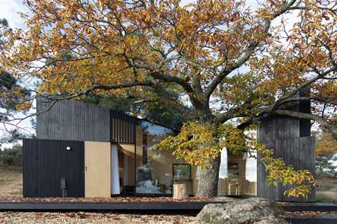 A Majestic Chestnut Tree Appears to Bloom Out of This Cabin’s Butterfly Roof