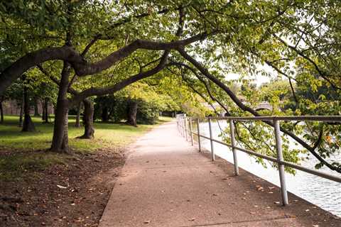 10 Popular Parks in Everett, WA That Locals Love
