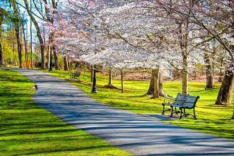 5 Popular Parks in Garden Grove, CA That Locals Love