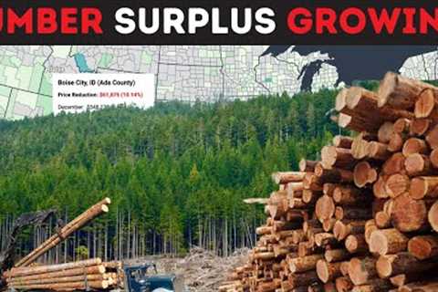 BIG Changes in Lumber Prices Set to CRUSH the Housing Market