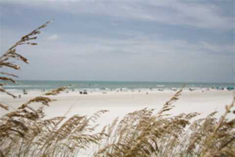 Soaking up the Sun: A Guide to Popular Beaches in and Around Tampa, FL