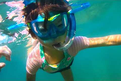 Hello Spring!  Enjoying the best of Oahu at a Secret Beach  / Living in Hawai'i Ep 129