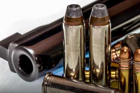 Tennessee lawmakers worked to loosen gun laws in the weeks before a shooter killed 3 adults and 3 children at Covenant school in Nashville