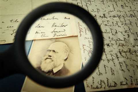 6 'facts' about human evolution that are wrong