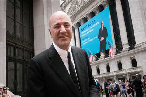 Shark Tank investor Kevin O'Leary breaks down his latest crypto bet as regulators look to crush 'rogue' operators