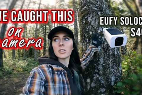 What's LURKING on OUR LAND?! Eufycam Solar Security Camera S40 Setup &amp; Install #eufysecurity