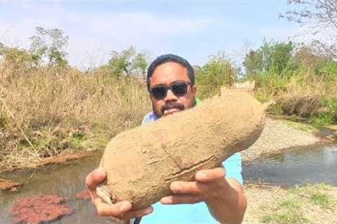 cooking and eating huge root vegetables/cassava near by river | Manipur INDIA | village life