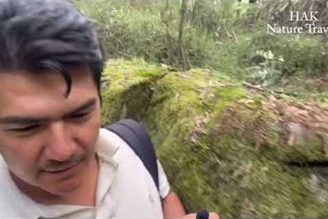 Toorongo Falls | Waterfalls Around Melbourne | Waterfalls | Vlog 36 | Nature | Australia | HAK