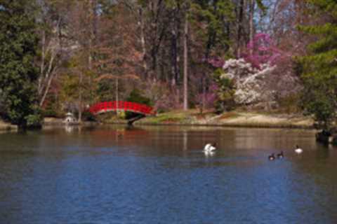 9 Most Affordable Durham, NC, Suburbs to Live In