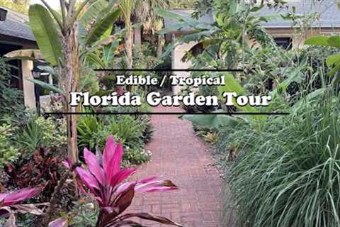 Florida Organic Edible / Tropical Garden Food Forest Tour | April Zone 10a