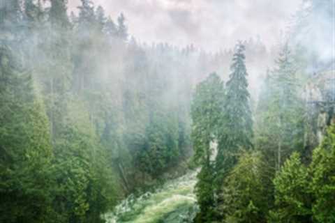 7 Most Affordable Vancouver, WA, Suburbs to Live In