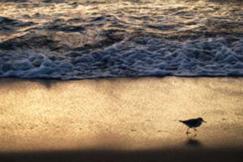10 Most Affordable Boca Raton Suburbs to Live In