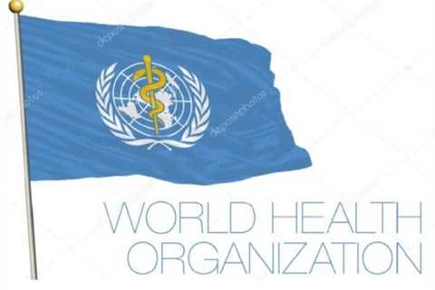 Leo Hohmann: Biden Regime Leading All Nations into Global Beast System that Would Require Compliance with Digital Health Tyranny Enforced by U.N. World Health Organization
