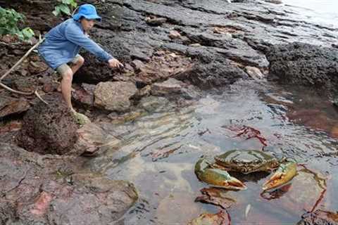 Giant King Crab Catch and Cook At the Beach - Giant Sea Crab Cooking with Big Wave | Wilderness Food