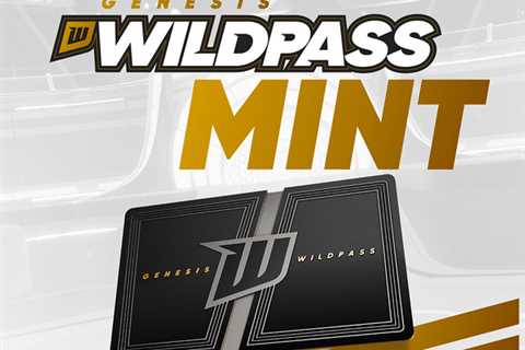 Wildcard, the Revolutionary Multiplayer Game Bringing People Together