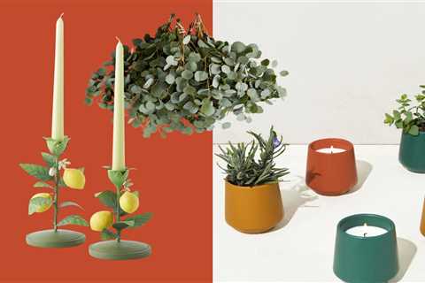 Make Your House Feel Like You’ve Spring Cleaned (Even If You Haven’t)