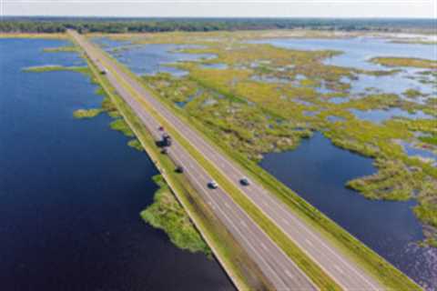 4 Most Affordable Gainesville Suburbs to Live In