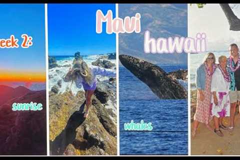 week 2 | HAWAII vlog ~ maui island, whales, snorkeling, sunrise in the clouds &amp; more ~ episode 2