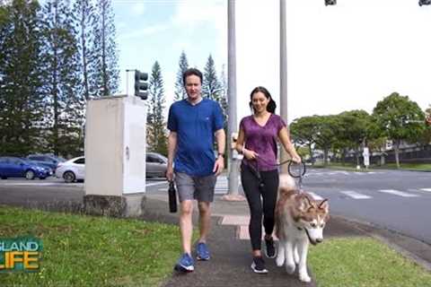 INCORPORATE WALKING INTO YOUR DAILY ROUTINE | Ulupono Initiative