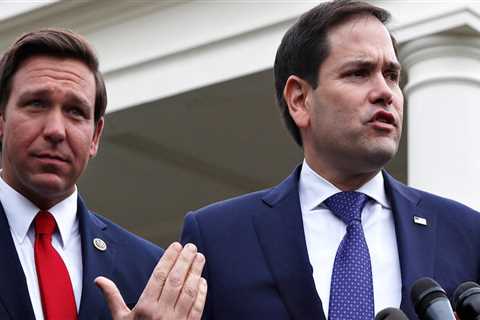 Rubio warned politicians against going after companies for 'political purposes' after Disney sued DeSantis