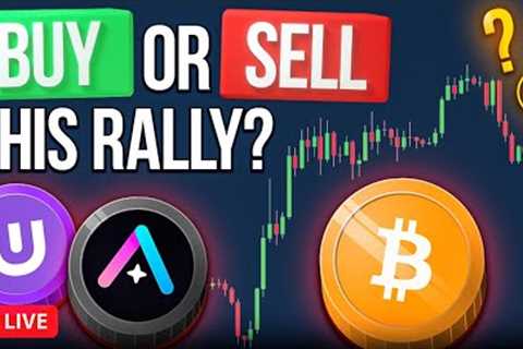 BUY or SELL THIS RALLY? (LAST CHANCE!)