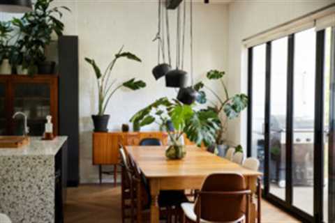 Plants, Pots, and Placement: 17 Expert Tips for Designing and Displaying Plants in Your Home