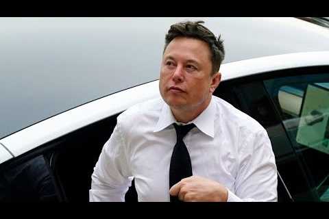Elon Musk: DO NOT SELL PEPE COIN! Will Pepe Coin make investors millionaires?