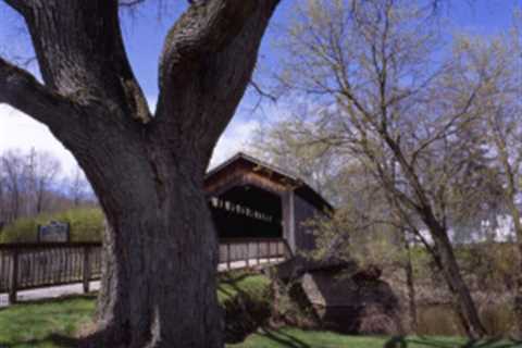 Parks in Grand Rapids, Michigan: A Nature Lover’s Guide to the City’s Best Outdoor Escapes