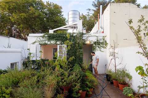Editor’s Letter: Urban Jungles