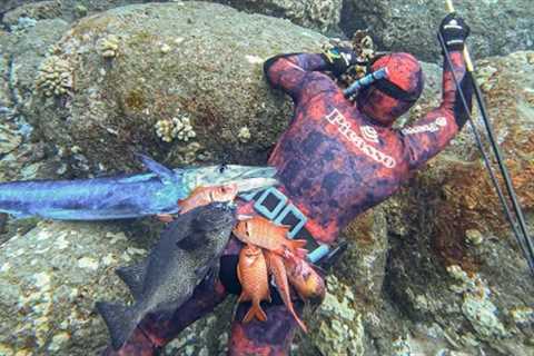 Shore Dive with Unko Spenny - Catch n Cook Hawaii