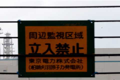 A remote-working employee of the world's biggest nuclear power plant left important documents on the roof of his car before driving off. It could delay a Tepco plant restart.