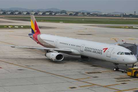 A passenger was arrested after opening a plane door while it was coming in to land, reports say