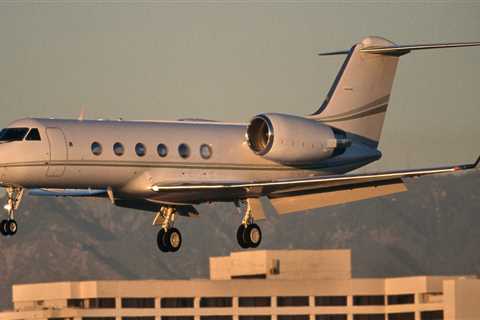 Investors accused the owner of a mall in Illinois of using their cash to buy two jets and fund a lavish birthday party for his dog