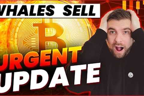 MUST SEE DATA: is now the TIME to BUY crypto?