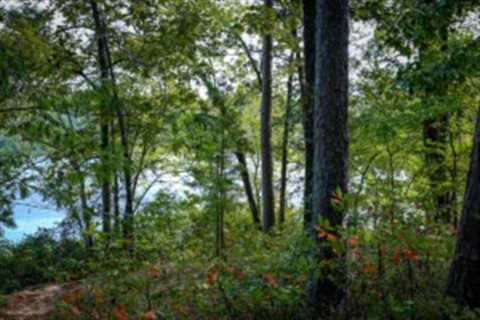 10 Parks in Tyler, TX, You Need to Check Out