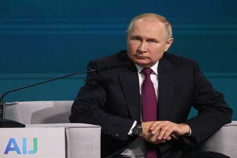 Russian ultranationalists think Putin's response to the Moscow drone attacks and border raids shows he's 'out of touch with reality'