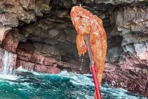 1 Hour Hike For 1 Special Fish!