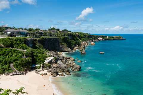 Since Three Arrows Capital collapsed, the crypto fund's founders have reportedly been meditating in Bali, learning to surf, and taking shrooms