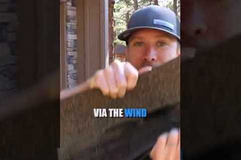 Identifying Not so Visible Wind Damaged Shingles
